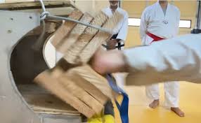 Image result for South Bank Taekwondo