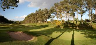 Image result for Forfar Golf Club