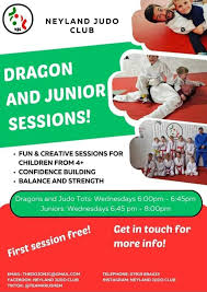 Image result for Felixstowe Judo club