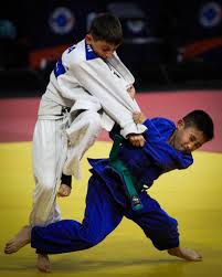Image result for Aylwin Judo Club