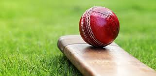 Image result for Salfords Cricket Club
