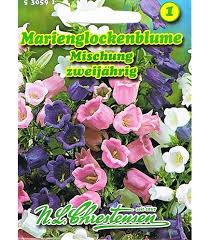 Image result for Marienglockenblumen