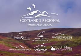 Image result for Group Senzala Scotland