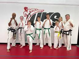 Image result for United Sport Karate