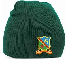 Image result for Ynysygerwn Cricket Club