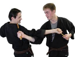 Image result for Bushin Kenpo Kai Schools