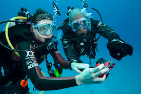 Image result for Canary Divers