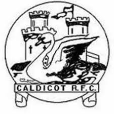 Image result for Caldicot Junior  & Mini Rugby Club