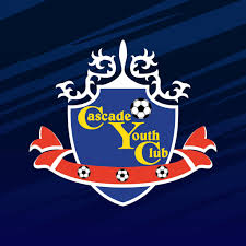 Image result for Cwmafan Football Club