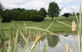 Image result for Haverhill Golf Club Ltd