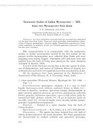 Attēlu rezultāti vaicājumam “Hemitrichia leiotricha stalked”
