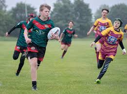 Image result for Halton Farnworth Hornets Rugby League Football Club