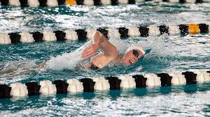 Image result for Fleetwood and District Swimming Club