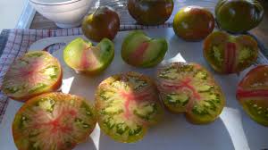 Afbeeldingsresultaat voor erdie family oxheart tomato