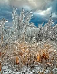 Image result for ice storm