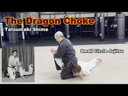 Image result for Komaru Ryu Small Circle Jujitsu/Karate