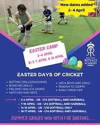 Image result for Oxshott Village Cricket Club