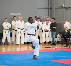 Image result for Fighting Arts Organisation of Great Britain