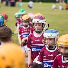 Image result for Sean Treacy`s Hurling Club