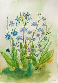 Image result for Vergissmeinnicht