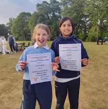 Image result for Bradenham Cricket Club