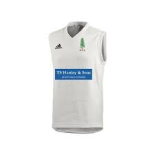 Image result for Alne Cricket Club