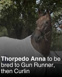 Image result for horse girl gun