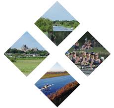 Image result for Isle Of Ely Rowing Club