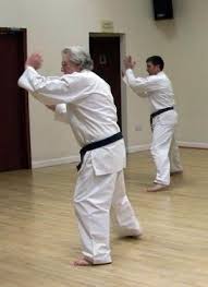 Image result for Nottingham Sankukai Karate