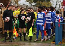 Image result for Epsom & Ewell Football Club