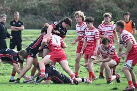 Image result for Penryn Rugby Football Club Ltd