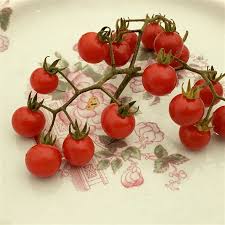 Afbeeldingsresultaat voor hawaiian white cherry tomato