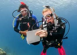 Image result for Dive Crew Scuba Diving