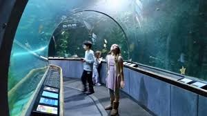 Image result for Underwater Adventures