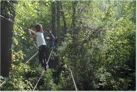 Image result for PONT DE SINGE