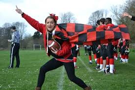 Image result for Cardiff Cobras