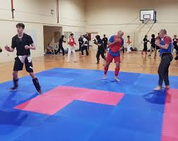 Image result for Shaolin Nam Pai Chuan Kung Fu - Manchester Martial Arts Centre