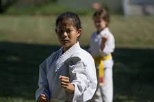 Image result for Abbey Fit Karate Club & Seiki Juku