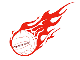 Image result for Applemore Netball Club