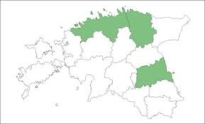 Attēlu rezultāti vaicājumam “Jungermannia sphaerocarpa”