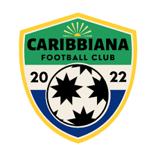 Image result for Caerbryn Association Football Club