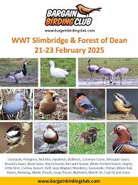 Image result for England Staffordshire Birding Club