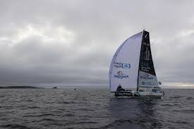 Image result for Kinsale Kappas