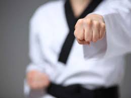 Image result for Chichester Tae Kwon Do