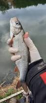 Image result for Wakefield Angling Club
