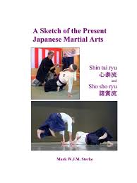 Image result for Budo Shin Ryu Kempo Jujitsu Academy