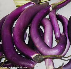 Afbeeldingsresultaat voor fengyuan purple eggplant