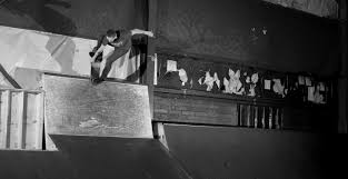 Image result for Untitled Skate Team