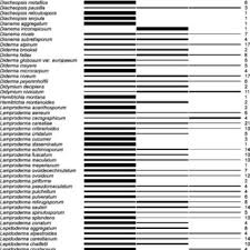 Attēlu rezultāti vaicājumam “Dianema nivale sessile”