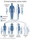 Color Blindness Causes